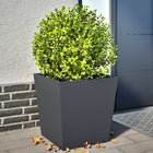 Plantenbak staal 50x50x50 cm antraciet 2 stuks