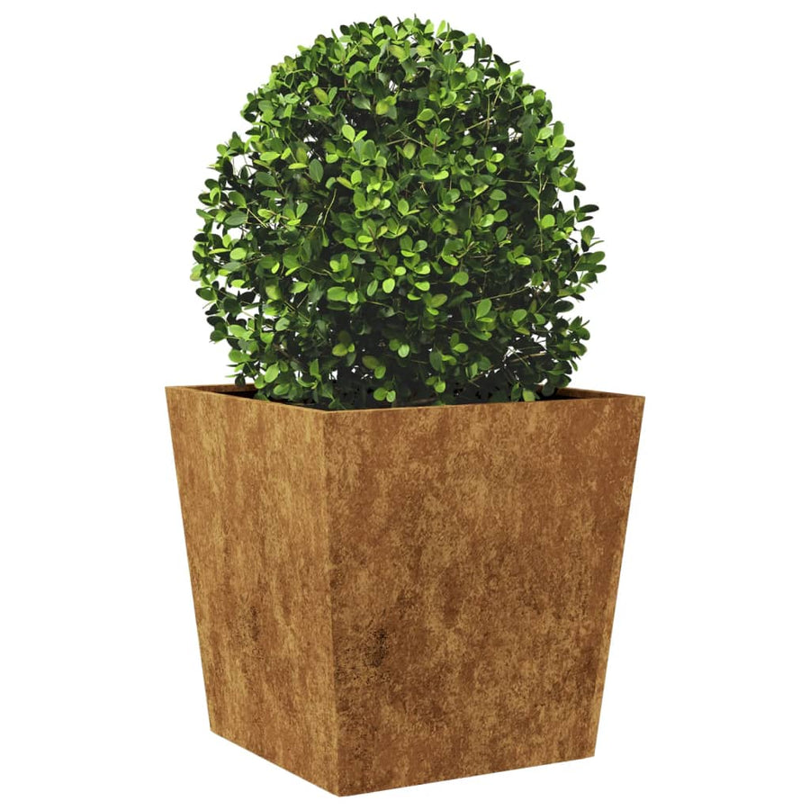 Plantenbakken 2 st 50x50x50 cm cortenstaal