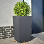 Planters 2 pcs 45x45x75 cm steel anthracite-colored