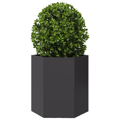 Plantenbak zeshoek 46x40x45 cm staal zwart