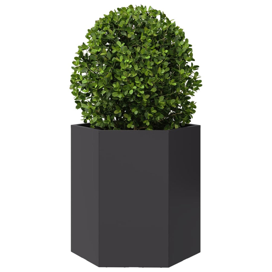 Plantenbak zeshoek 46x40x45 cm staal zwart