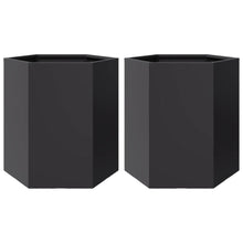 Plantenbakken 2 st zeshoek 46x40x45 cm staal zwart