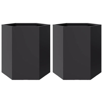 Plantenbakken 2 st zeshoek 46x40x45 cm staal zwart
