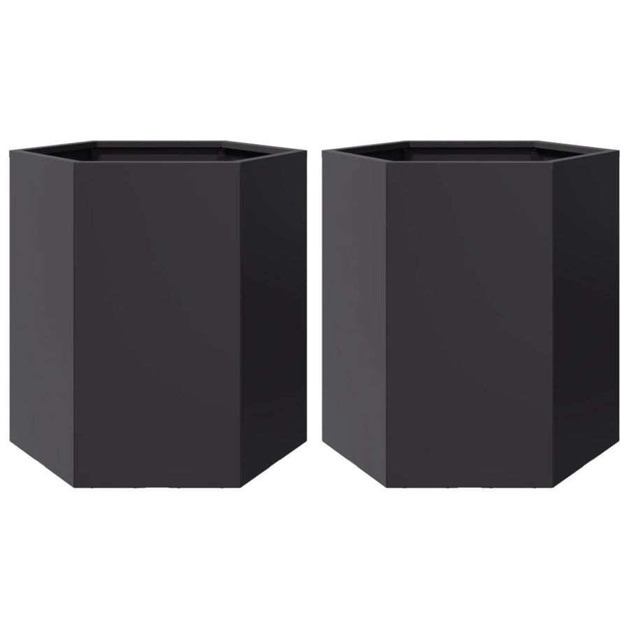 Plantenbakken 2 st zeshoek 46x40x45 cm staal zwart