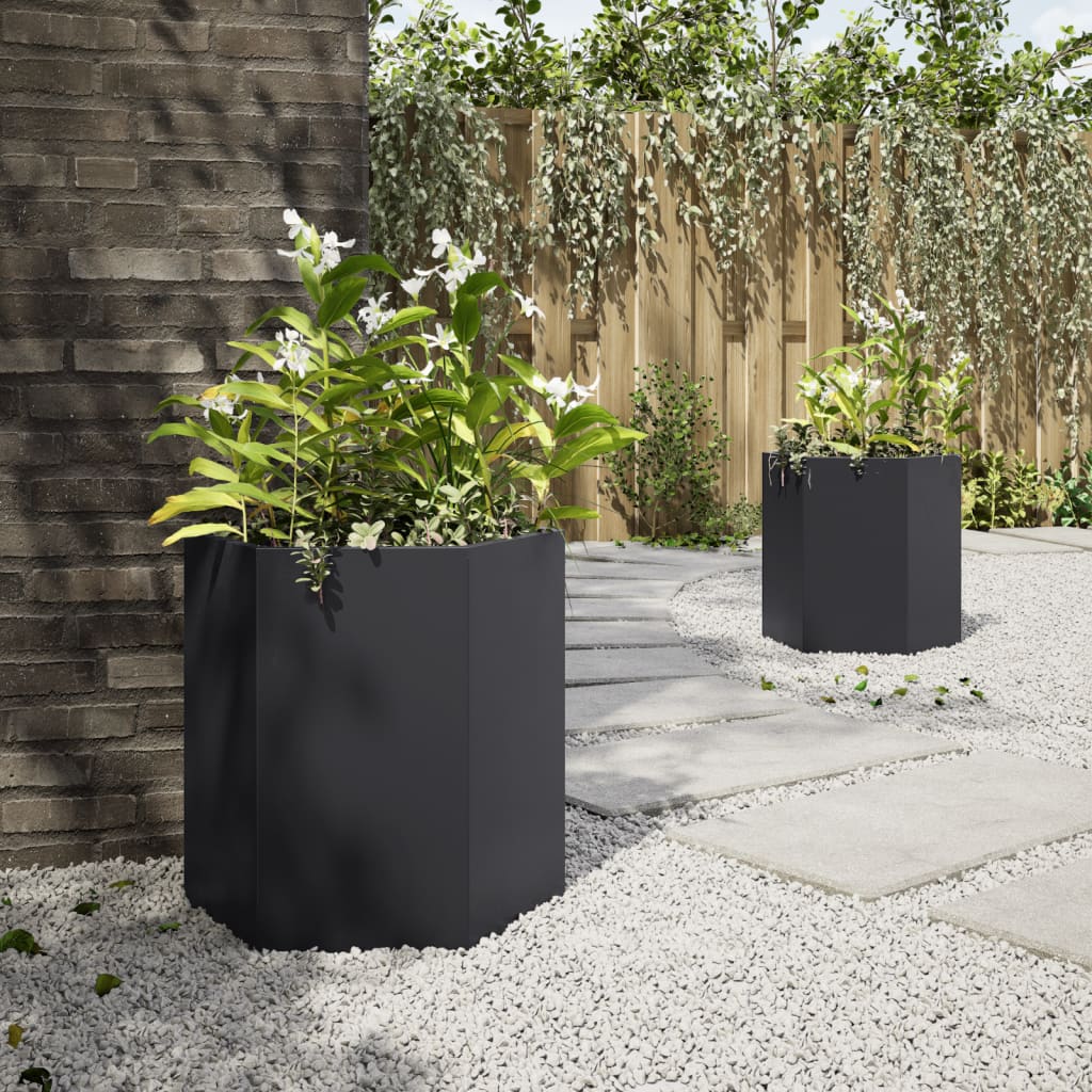 Plantenbakken 2 st zeshoek 46x40x45 cm staal zwart