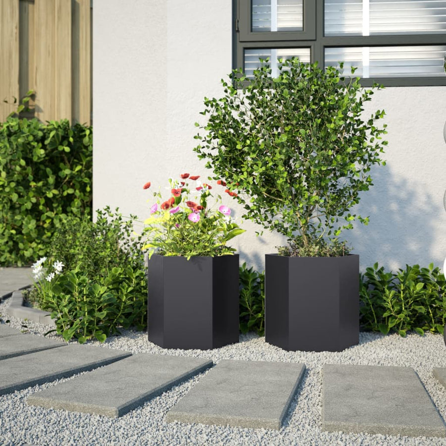 Plantenbakken 2 st zeshoek 46x40x45 cm staal zwart
