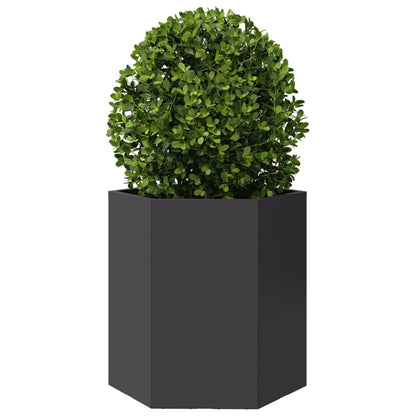 Plantenbakken 2 st zeshoek 46x40x45 cm staal zwart