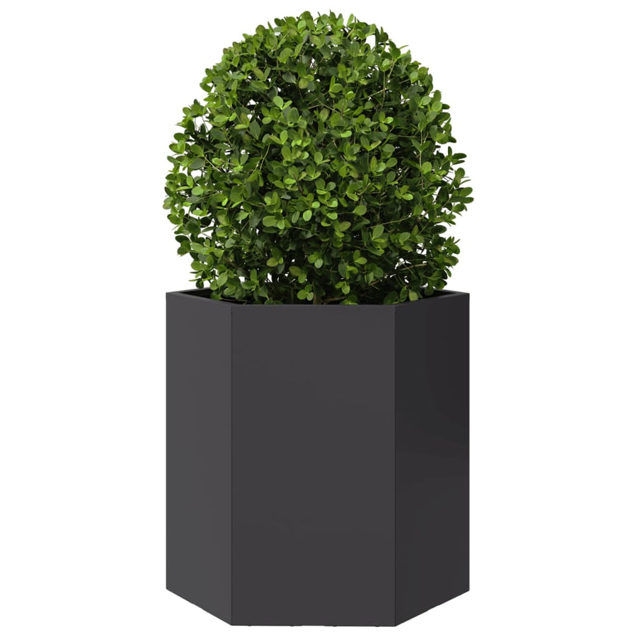 Plantenbakken 2 st zeshoek 46x40x45 cm staal zwart