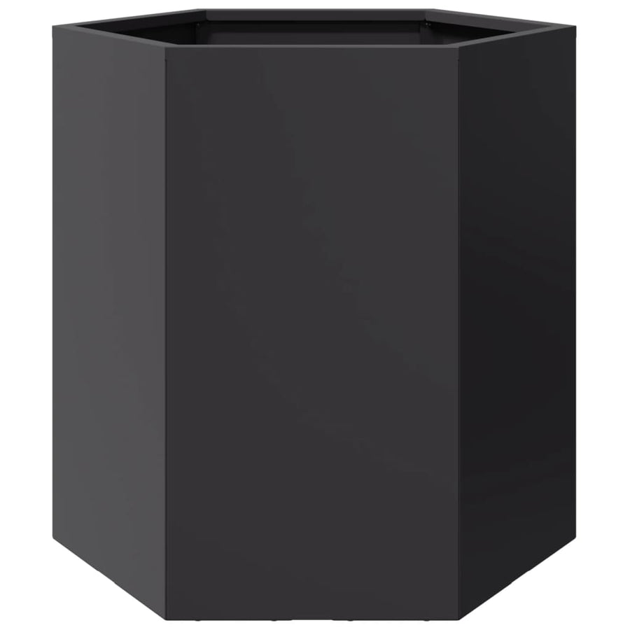 Plantenbakken 2 st zeshoek 46x40x45 cm staal zwart