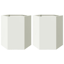 Plantenbakken 2 st zeshoek 46x40x45 cm staal wit