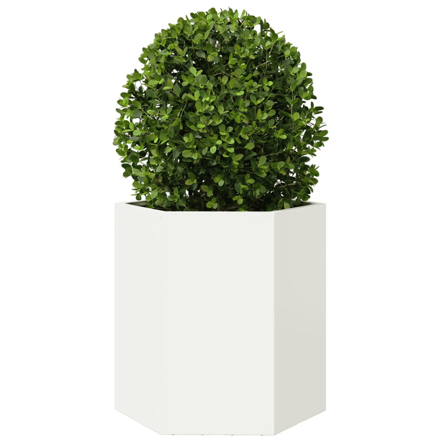 Plantenbakken 2 st zeshoek 46x40x45 cm staal wit
