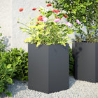 Plantenbakken 2 st zeshoek 46x40x45 cm staal antraciet