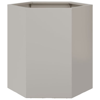Plantenbak zeshoek 46x40x45 cm roestvrijstaal