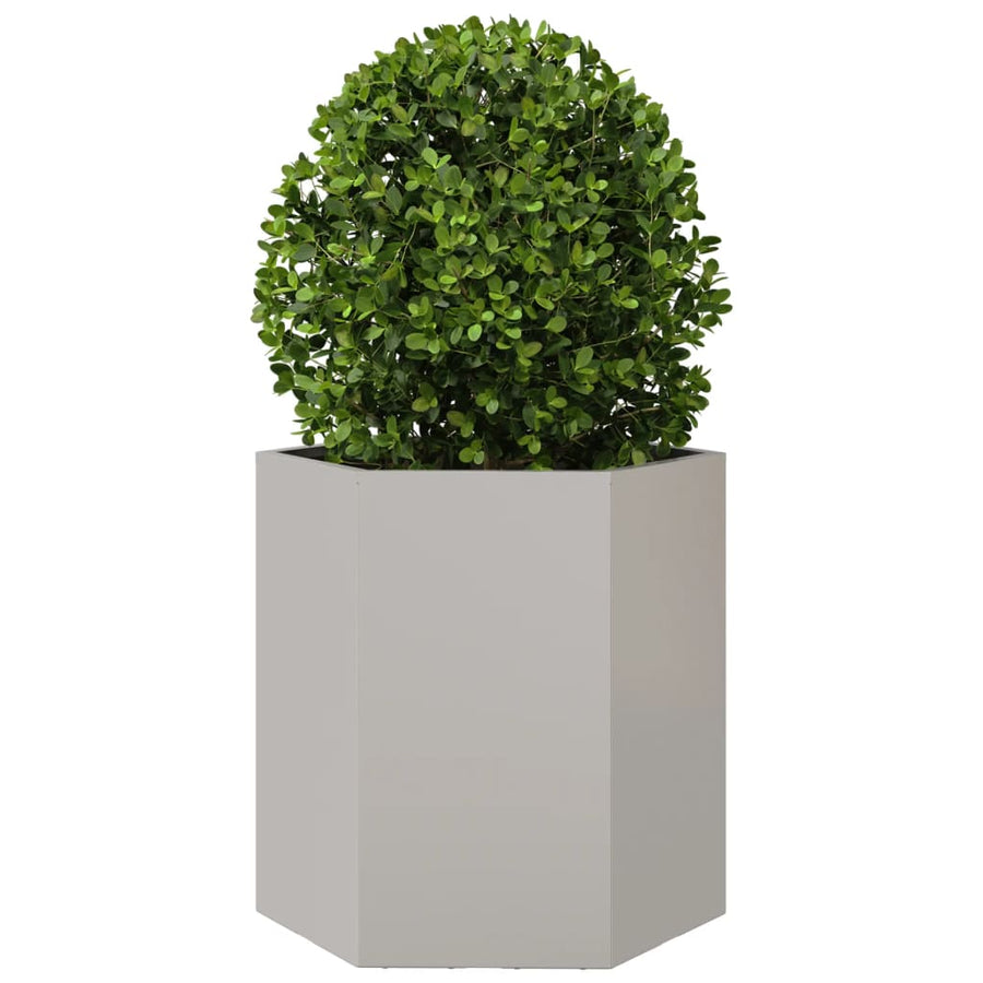 Plantenbak zeshoek 46x40x45 cm roestvrijstaal