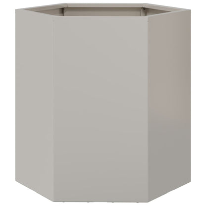 Plantenbak zeshoek 46x40x45 cm roestvrijstaal