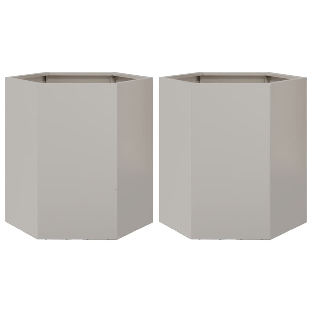 Plantenbakken 2 st zeshoek 46x40x45 cm roestvrijstaal