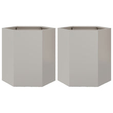 Plantenbakken 2 st zeshoek 46x40x45 cm roestvrijstaal