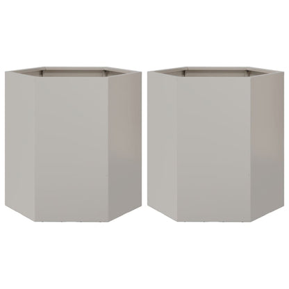 Plantenbakken 2 st zeshoek 46x40x45 cm roestvrijstaal