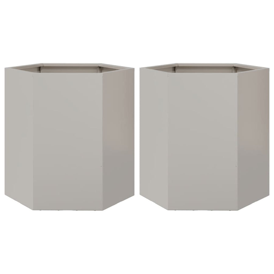 Plantenbakken 2 st zeshoek 46x40x45 cm roestvrijstaal