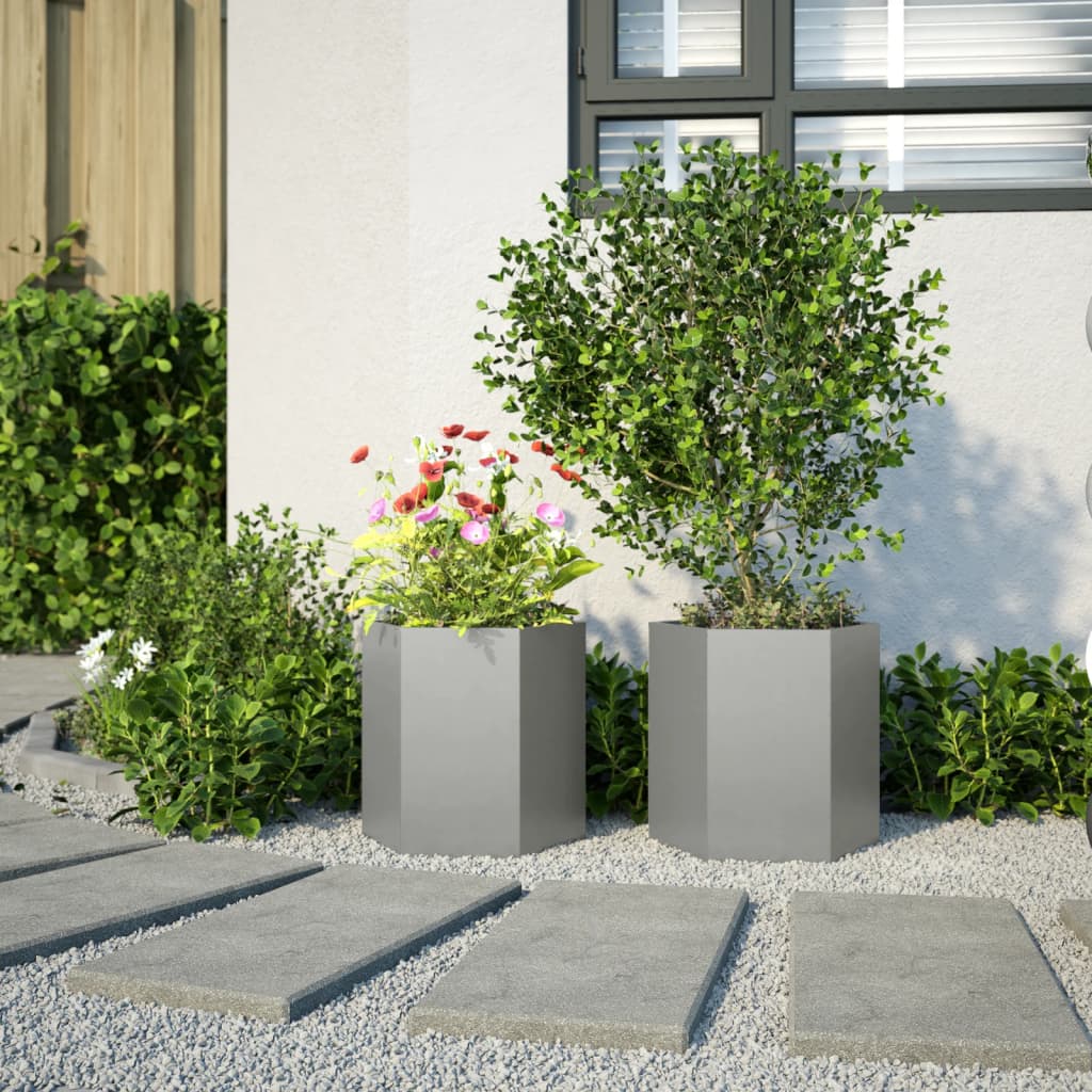 Plantenbakken 2 st zeshoek 46x40x45 cm roestvrijstaal