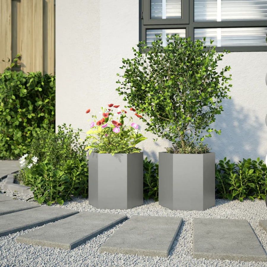 Plantenbakken 2 st zeshoek 46x40x45 cm roestvrijstaal