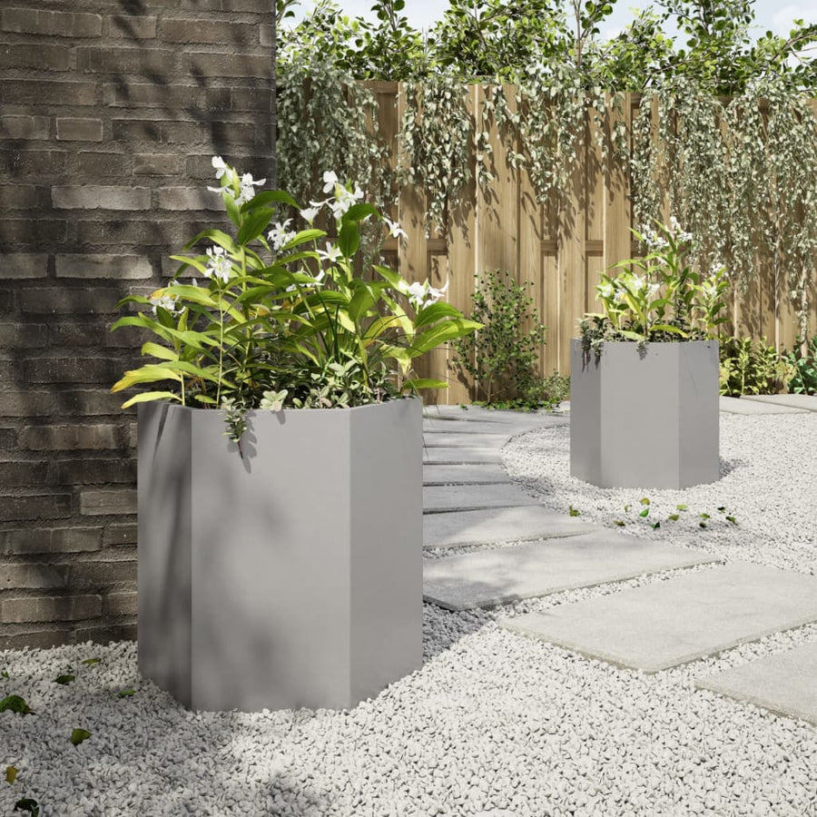 Plantenbakken 2 st zeshoek 46x40x45 cm roestvrijstaal