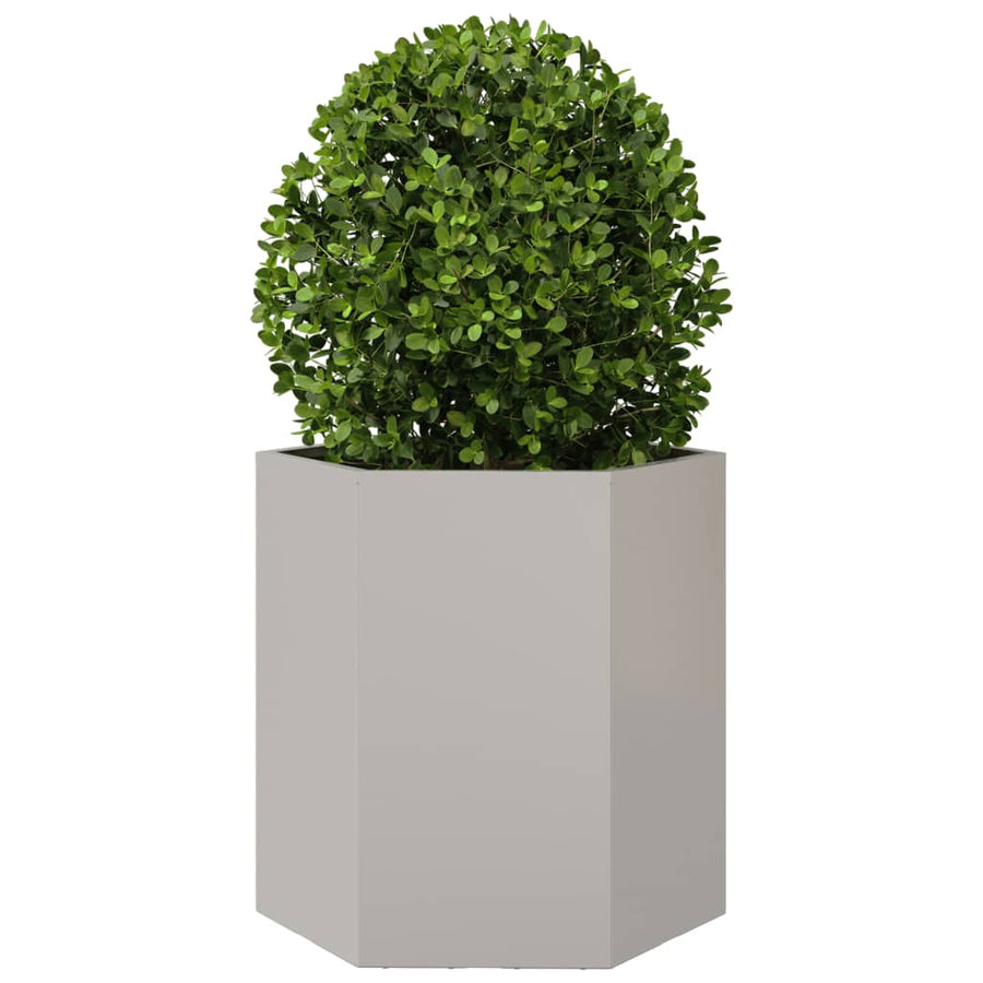 Plantenbakken 2 st zeshoek 46x40x45 cm roestvrijstaal