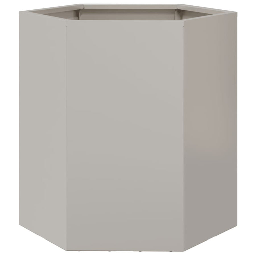 Plantenbakken 2 st zeshoek 46x40x45 cm roestvrijstaal