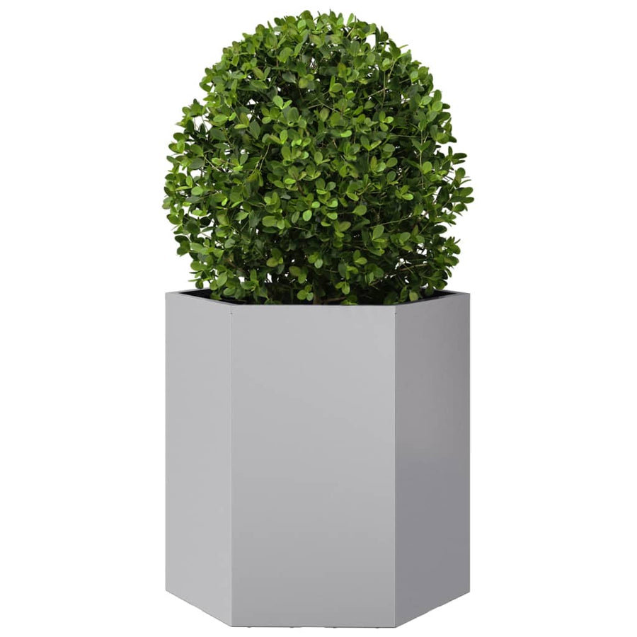 Plantenbak zeshoek 46x40x45 cm gegalvaniseerd staal