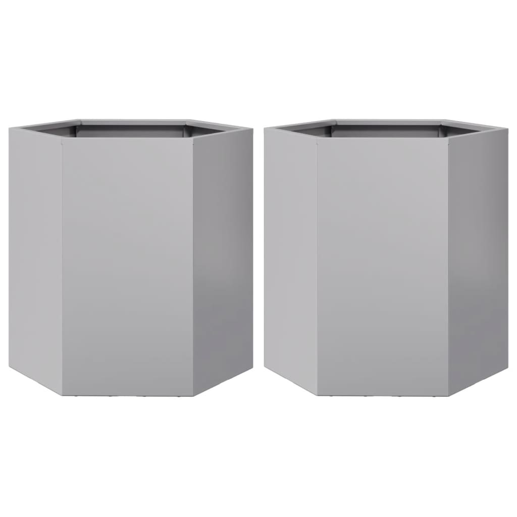 Plantenbakken 2 st zeshoek 46x40x45 cm gegalvaniseerd staal