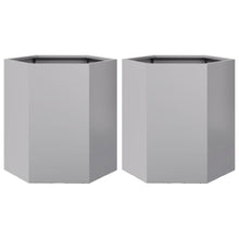 Plantenbakken 2 st zeshoek 46x40x45 cm gegalvaniseerd staal