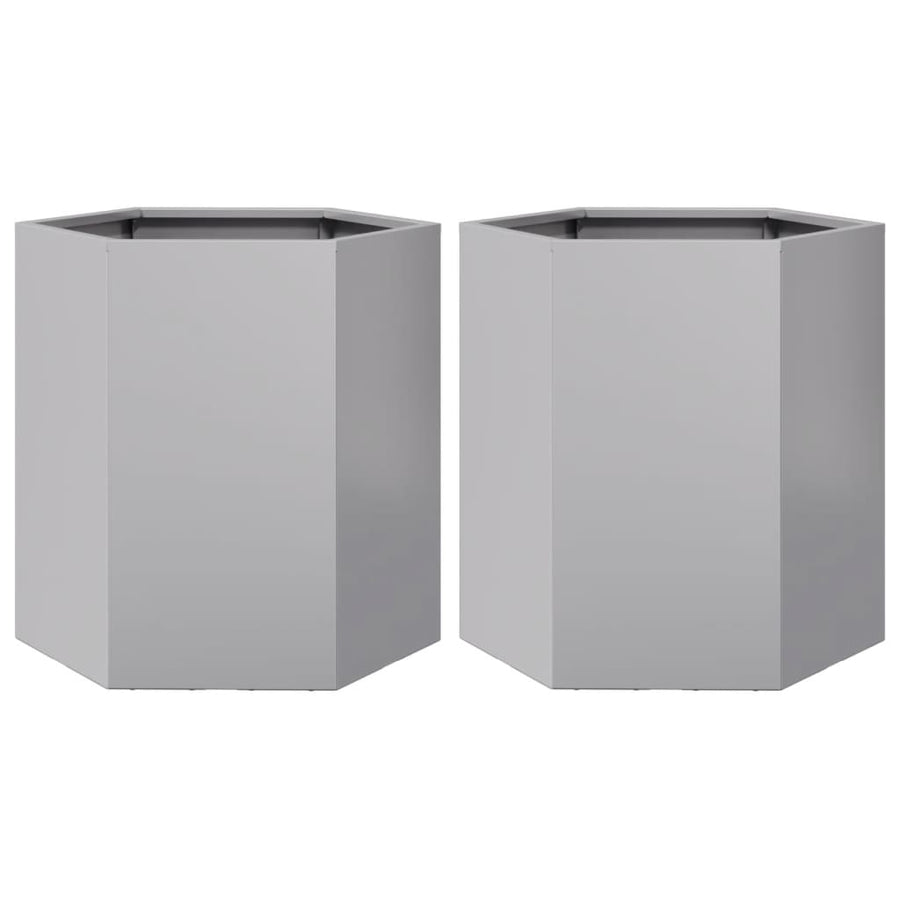 Plantenbakken 2 st zeshoek 46x40x45 cm gegalvaniseerd staal