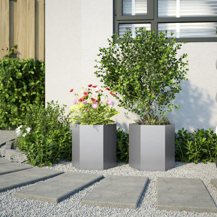 Plantenbakken 2 st zeshoek 46x40x45 cm gegalvaniseerd staal