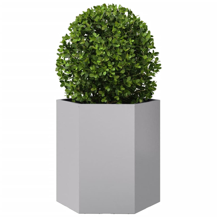 Plantenbakken 2 st zeshoek 46x40x45 cm gegalvaniseerd staal