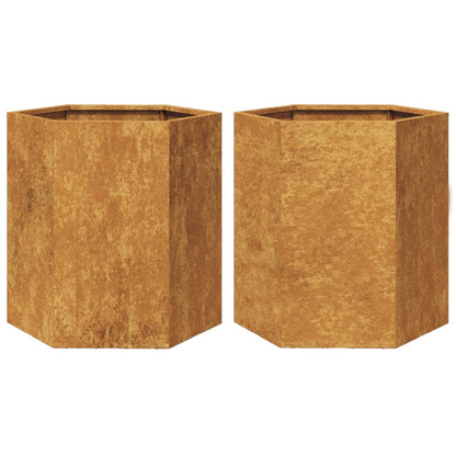 Plantenbakken 2 st zeshoek 46x40x45 cm cortenstaal