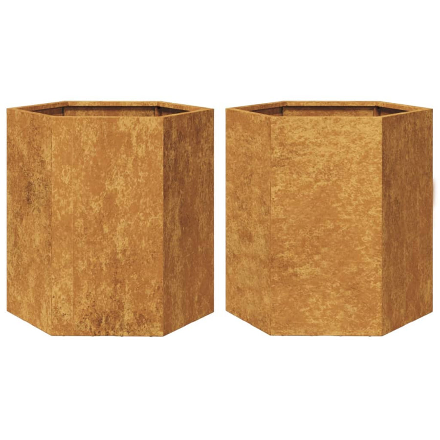 Plantenbakken 2 st zeshoek 46x40x45 cm cortenstaal