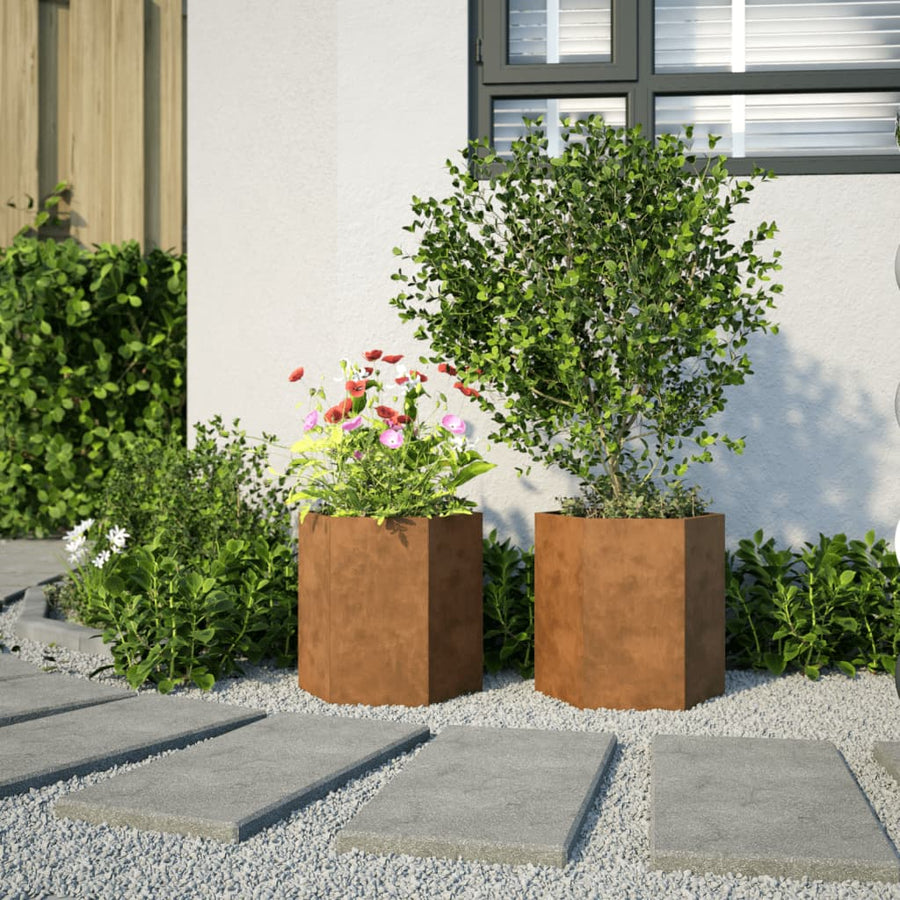 Plantenbakken 2 st zeshoek 46x40x45 cm cortenstaal