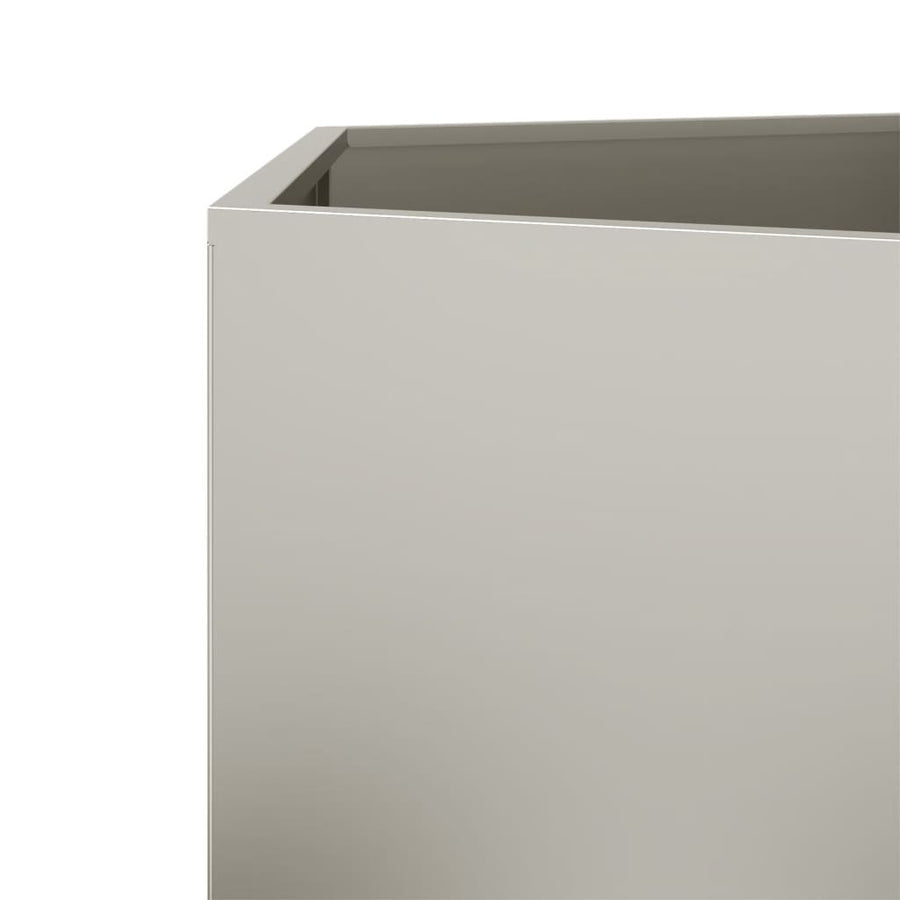 Plantenbakken 2 st zeshoek 46x40x45 cm cortenstaal
