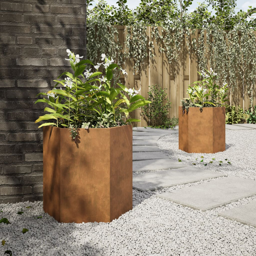Plantenbakken 2 st zeshoek 46x40x45 cm cortenstaal