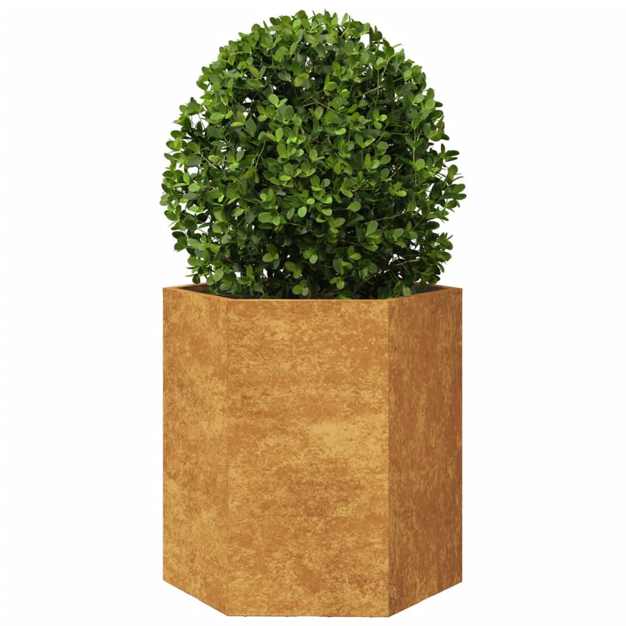 Plantenbakken 2 st zeshoek 46x40x45 cm cortenstaal