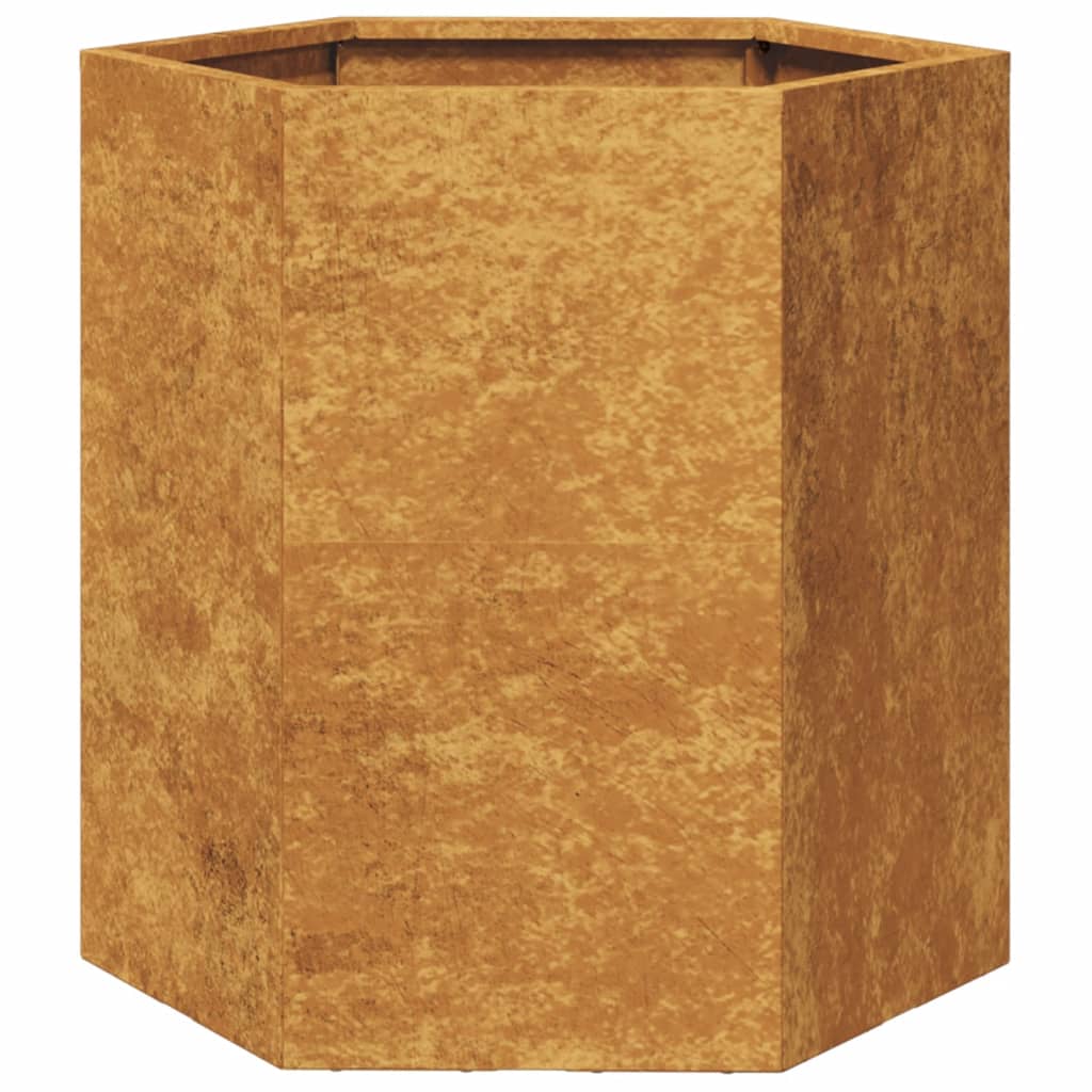 Plantenbakken 2 st zeshoek 46x40x45 cm cortenstaal