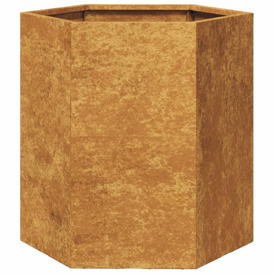 Plantenbakken 2 st zeshoek 46x40x45 cm cortenstaal