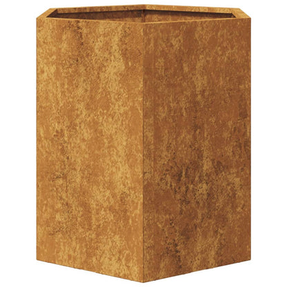 Plantenbakken 2 st zeshoek 46x40x45 cm cortenstaal