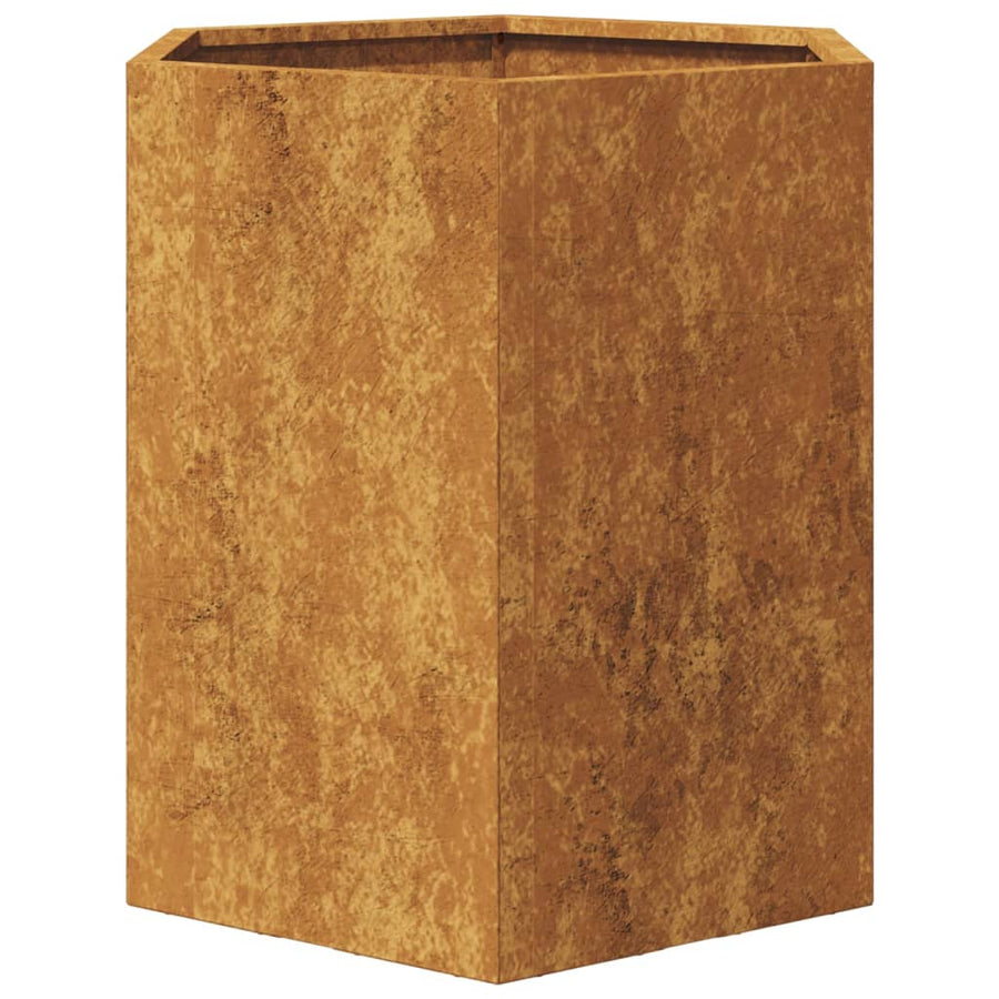 Plantenbakken 2 st zeshoek 46x40x45 cm cortenstaal
