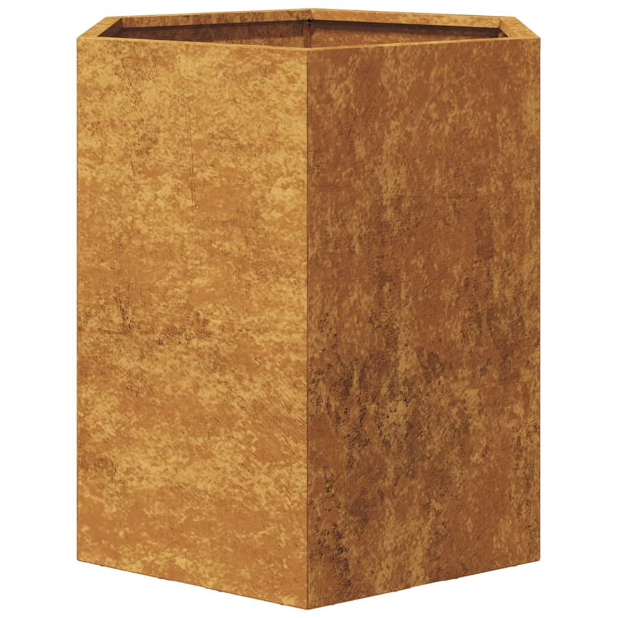 Plantenbakken 2 st zeshoek 46x40x45 cm cortenstaal