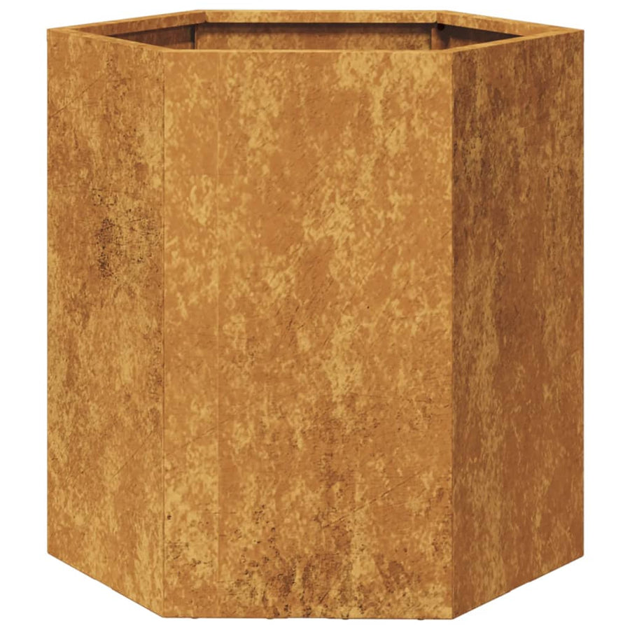 Plantenbakken 2 st zeshoek 46x40x45 cm cortenstaal
