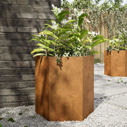 Plantenbak zeshoek 46x40x45 cm cortenstaal 2 stuks
