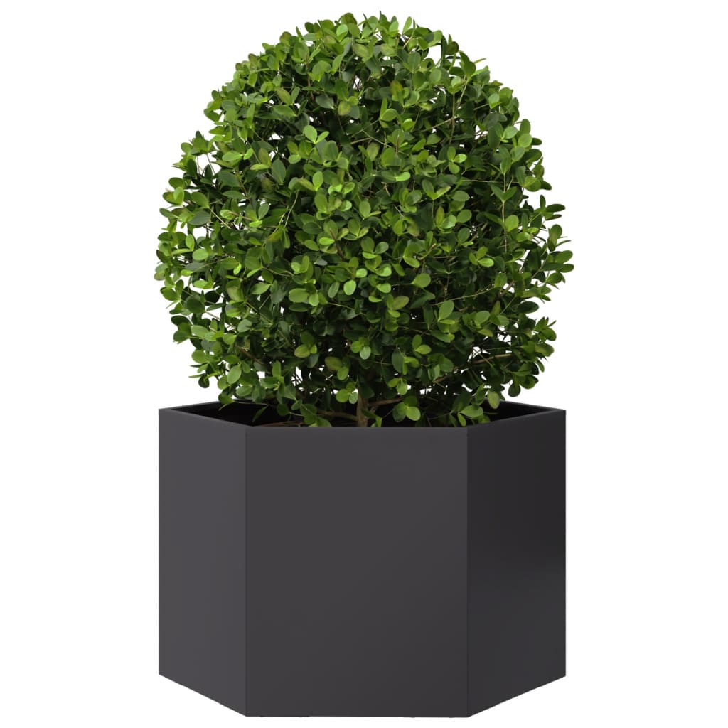 Plantenbak zeshoek 69x60x45 cm staal zwart