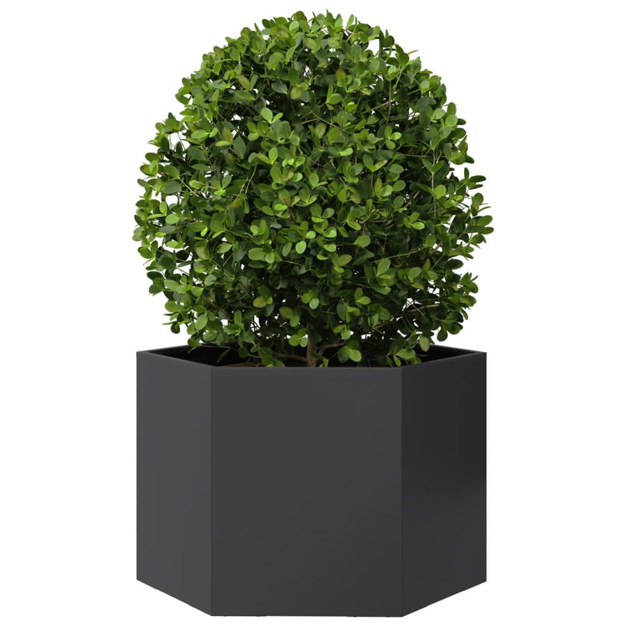 Plantenbak zeshoek 69x60x45 cm staal zwart