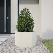 Plantenbak zeshoek 69x60x45 cm staal wit